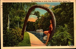 The Horse Shoe or Lucky Palm, Silver Springs, Florida 1940s Linen Postcard bk46 - £2.36 GBP