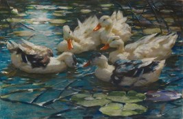 painting Giclee Alexander Koester Five colorful ducks in blue lily pad water - £7.58 GBP+