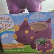 Live Air Plant in Dinosaur Animal Planter, 5" purple glazed ceramic pot, Tyson image 6