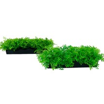 Penn Plax Aquarium Fish Tank Plant Small Green  Bunch Plant  (2 pack) - £5.74 GBP