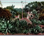 Cactus Garden Golden Gate Park San Francisco CA UNP Unused DB Postcard C16 - £4.09 GBP