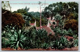 Cactus Garden Golden Gate Park San Francisco CA UNP Unused DB Postcard C16 - £4.09 GBP