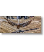 Metal Print &quot;It Was This Big&quot; - $112.84+