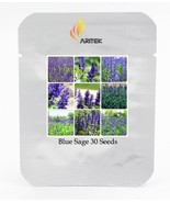 Victoria Salvia Farinacea Sage Perennial Flower Seeds Pack 30 Seeds Pack... - €12,03 EUR Victoria Salvia Farinacea Sage Perennial Flower Seeds Pack 30 Seeds Pack... - €12,03 EUR