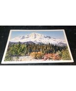 The Mountain From Longmire Rainier National park Unused Postcard VTG - $9.99