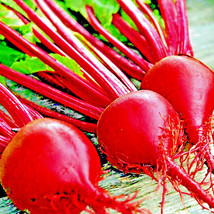 AD 200 Detroit Beet Seeds Heirloom Non Gmo Spring Veg Grown Home Garden - $13.26