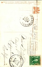 Vtg Carte Postale 1907 Tuck&#39;s Fleurs - Violet Pensées #6911 Expédié - £3.79 GBP