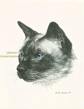 #159 * SIAMESE CAT portrait pen &amp; ink print done by Jan Jellins - $12.50