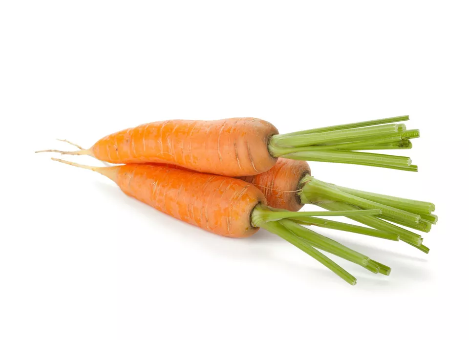 SKMO Carrot Danvers 126 Non GMO 650 Seeds  - £7.28 GBP