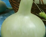 10 Seeds   Martin House Gourd Seeds Available Bushel Speckled Swan Bird ... - $8.99