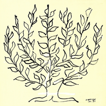 Henri Matisse The Bush (Small), 2015 - £23.23 GBP