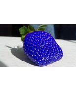 Organic Blue Strawberries Seeds for Garden Fresh Fruit Seeds Healthy 50 SEEDS - $5.50