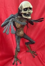 Mexico City Outside Art HOOS Mysterious &amp; Creepy Chicken Witch Nagual Cr... - £278.90 GBP