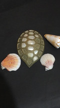 Vintage Brass Turtle Inlay Shell Hinged Trinket home decor - £12.05 GBP