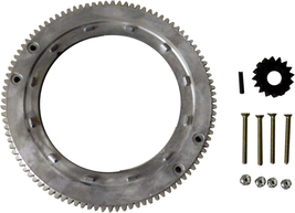 696537 Flywheel Ring Gear for Briggs and Stratton 399676 392134, Oregon ... - €41,57 EUR