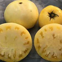 50 Seeds Big White Tomato Juicy Tomatoe Vegetable Edible Food Usa Seller - $9.32