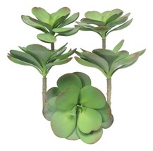 Set of 5 Realistic Artificial Faux Botanica Paddle Plants Fern Grass Succulents - £47.95 GBP