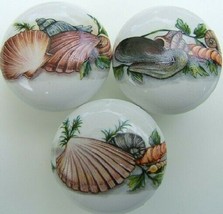 Seashell Cabinet Knobs w/ Seashells Sea Shell #2 (3) - £10.68 GBP