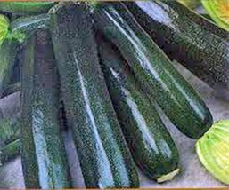 100 Seeds Zucchini Black Beauty Fast Bloom Choose Heirloom Seeds - $8.35