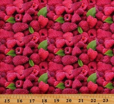 Cotton Raspberries Red Raspberry Fruits Food Fabric Print by the Yard D574.86 - £7.44 GBP