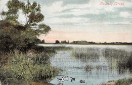 Rollesby Broad Norfolk Card 1907 Pstmk - £5.28 GBP