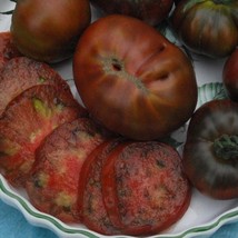 Paul Robeson Tomato Seeds Fresh Seeds USA - $12.80