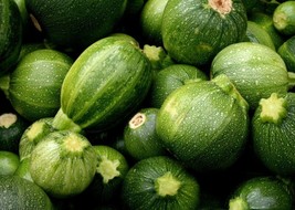 Squash Zucchini Round Seeds 25 Ct Summer Vegetable NongmoFrom US  - $8.35