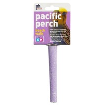 Pacific Perch Beach Walk - Assorted Colors - X-Small - $13.99