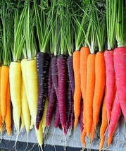 Rainbow Carrot Blend Mix Seeds Colorful NON-GMO Beta Carotene Vitamin A - £2.43 GBP