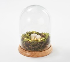 Martha Stewart Illuminated Spring Nest Cloche - £41.94 GBP