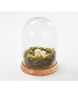 Martha Stewart Illuminated Spring Nest Cloche - £39.87 GBP