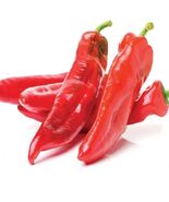 Guizeppi Chili Pepper Seeds, NuMex, Mild Hatch, Green Chile, FREE SHIPPING - €1,62 EUR+