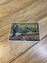 Vintage Lot of 2 Amish Country Pennsylvania Travel Souvenir Postcard KG JD - $188.46 MXN