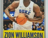 ZION WILLIAMSON Book by Jackson Carter NBA Basketball First Draft Pick NEW - $12.99