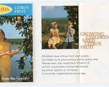 1950&#39;s Calendar of Select Florida Citrus Fruit Brochure Oranges Grapefruit - $17.82