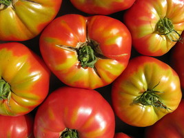 USA Chocolate Stripes Tomato Brown With Green Lycopersicon Fruit 50 Seeds - £8.59 GBP