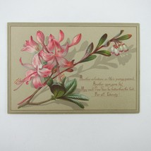 Victorian Greeting Card New Years White &amp; Pink Azalea Flowers Branch Antique - £4.70 GBP