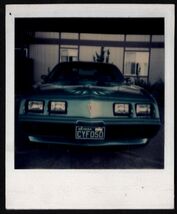 from ALBUM * POLAROID photo front view TRANS-AM nevada licence plate - $8.95