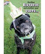 Another Birthday and Another Year Older - Birthday Greeting Card - 00772 - $2.79