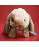 Webkinz Holland Lop Bunny Rabbit Plush Brown Cream Stuffed Animal HM632 ... - $148.50