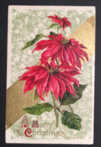 A Merry Christmas Poinsettias John Winsch Gold Embossed Postcard 1910 Germany - £6.43 GBP