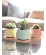 Chez Juju Assorted Blue Pink Yellow Round Ceramic Succulent Pots 3&quot; Plan... - $37.98