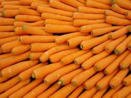 USA Scarlet Nantes Carrot Daucus Carota Vegetable 1500 Seeds - £8.64 GBP