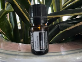 doTERRA Roman Chamomile Essential Oil 5ml New Sealed Exp 06/27 - €40,20 EUR