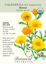 Organic Resina Calendula Pot Marigold Seeds 450 Mg USA Seeds Fast Shipping - $22.68