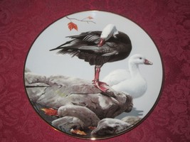 Snow Geese Collector Plate Rod Lawrence Hamilton Colln Wildlife Goose Bird - $24.99
