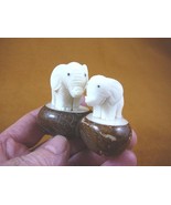 TNE-ELE-268-B) Mama Baby PACHYDERM TAGUA NUT Figurine Vegetable - $67.05 CAD