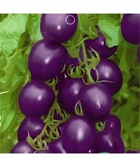 60 Seeds Cherokee Purple Black Red Yellow Green Cherry Peach Pear Tomato - $35.88 CAD