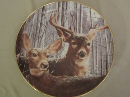 SNOWY ALERT collector plate BOB TRAVERS Wildlife WHITE TAILED DEER - £15.95 GBP