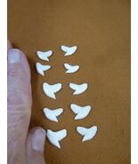 SW-1-N-2-4) 1/2&quot; Wholesale 10 (5left/right) modern Tiger Shark T**th DIY... - $36.24 CAD